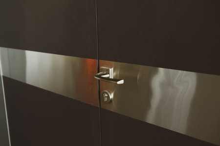 minimalist door, front door, wooden door, big wooden door