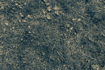 Green artificial grass natural background