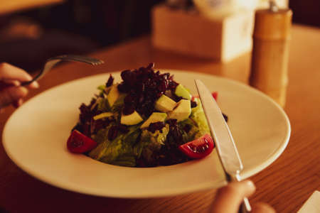 Fresh salad plate with mixed greensの写真素材