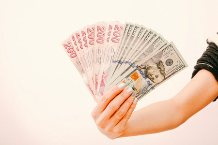 Turkish lira banknotes and US Dollars