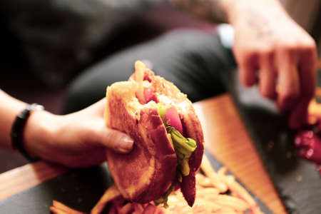 Homemade hamburger with fresh vegetablesの写真素材