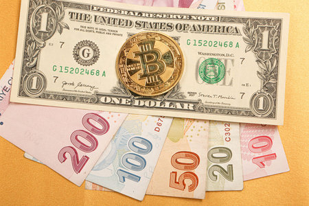 Turkish lira banknotes, US Dollars and bitcoin coin