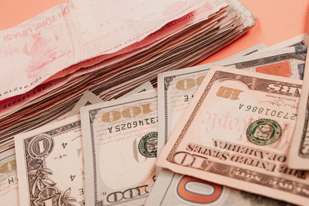 Turkish lira banknotes and US Dollars