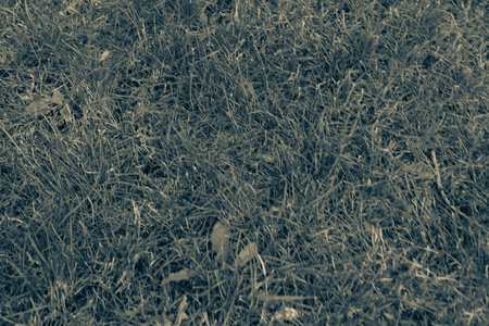 Green artificial grass natural background