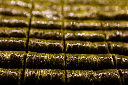 Traditional turkish dessert baklava with cashew, walnuts. Homemade baklava with nuts and honey.の写真素材