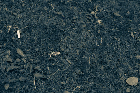 Green artificial grass natural background