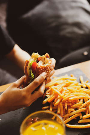 Homemade hamburger with fresh vegetablesの写真素材