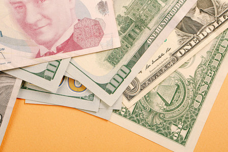 Turkish lira banknotes and US Dollars