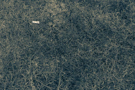 Green artificial grass natural backgroundの写真素材