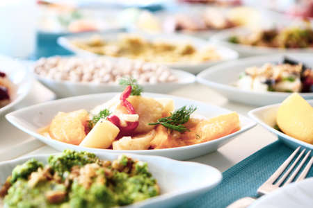 Traditional Turkish and Greek dinner appetizer tableの写真素材