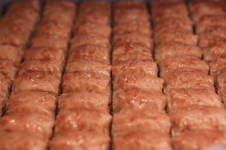 Traditional turkish dessert baklava with cashew, walnuts. Homemade baklava with nuts and honey.の写真素材