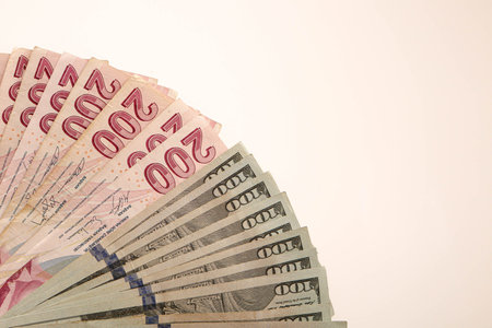 Turkish lira banknotes and US Dollars