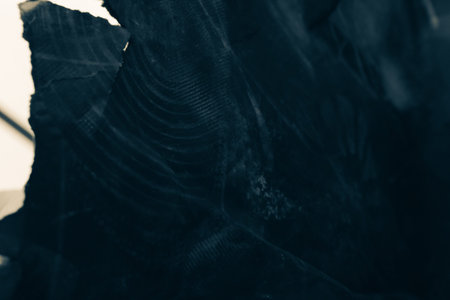 black creased crumpled paper background grunge texture backdrop