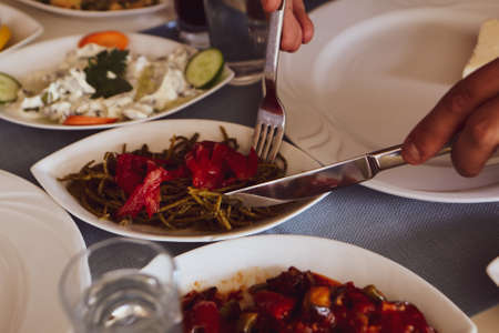 Traditional Turkish and Greek dinner appetizer tableの写真素材