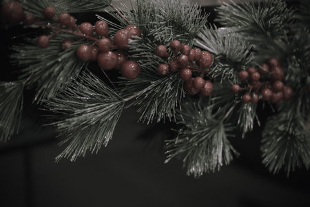 Pine Christmas tree gift