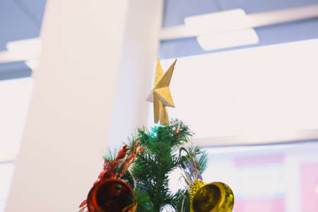 Pine Christmas tree giftの写真素材