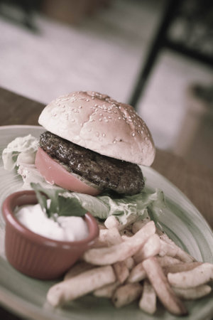 Homemade hamburger with fresh vegetablesの写真素材
