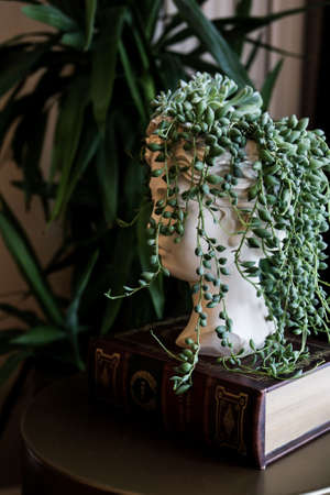 interior of modern living roomの写真素材