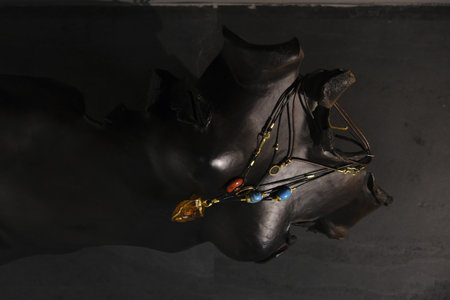 Brilliant Diamond Necklaces and Fine Gold Jewelryの写真素材