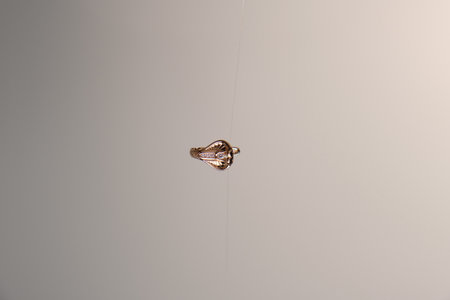 Stunning Gold and Diamond Bridal Jewelry Setsの写真素材