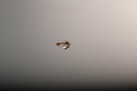 Classic Diamond and Gold Jewelry for Womenの写真素材