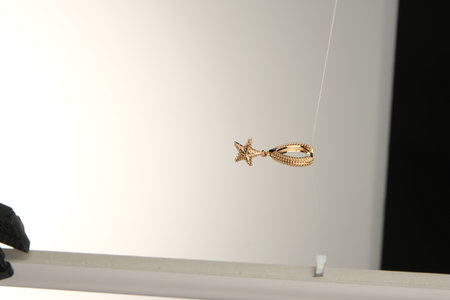 Fine Jewelry Collection: Diamonds and Gold Jewelryの写真素材