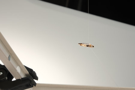 Exquisite Handmade Gold and Diamond Jewelryの写真素材