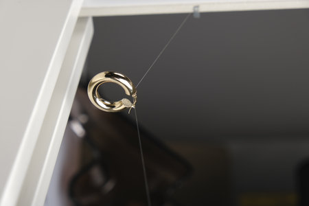 Elegant Gold and Diamond Rings with Gemstonesの写真素材