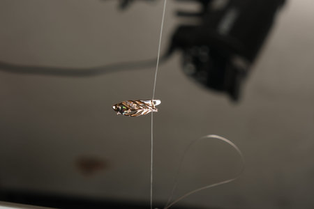 luxury gold and diamond jewelery