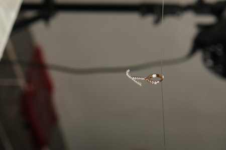 Glamorous Gold and Diamond Wedding Ringsの写真素材