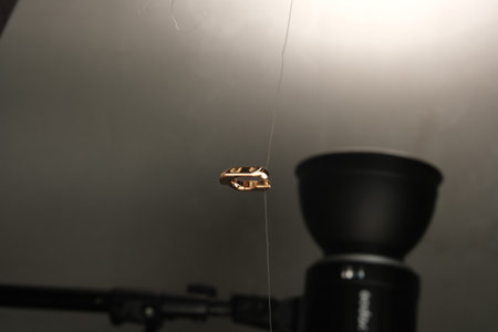 Glamorous Gold and Diamond Wedding Ringsの写真素材