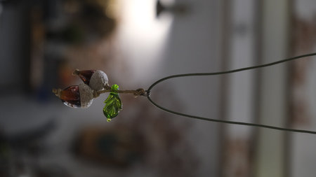 A close up shot of a decoration hanging on a stringの写真素材