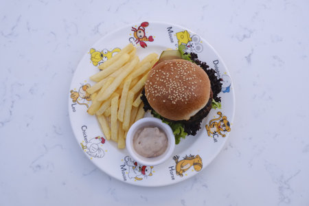 Hamburger with french fries on a white plate, top viewの写真素材