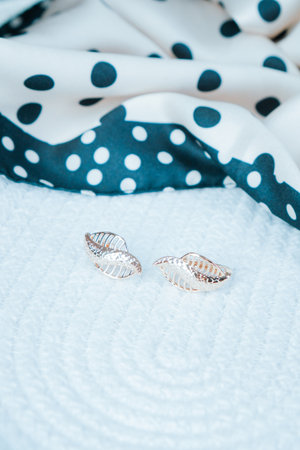 Radiant Jewelry for Special Momentsの写真素材