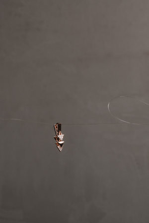 Luxury Gold and Diamond Jewelryの写真素材