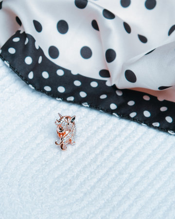 Brilliant Diamond Necklaces and Fine Gold Jewelryの写真素材