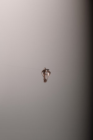 Classic Diamond and Gold Jewelry for Womenの写真素材