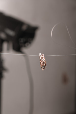 Bold and Elegant Diamond and Gold Statement Piecesの写真素材