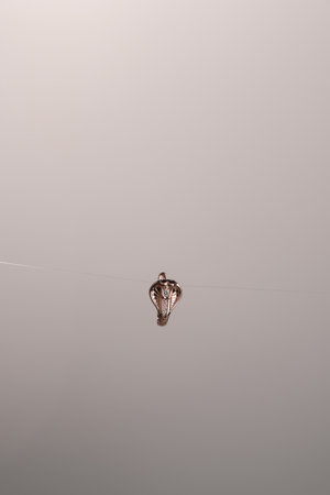 Glimmering Diamond and Gold Jewelry for Every Styleの写真素材