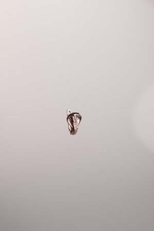 Luxurious Diamond Jewelry in Elegant Gold Settingsの写真素材