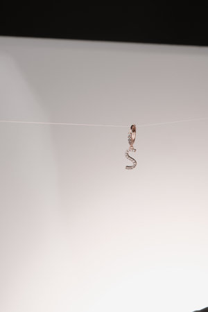 Stunning Gold and Diamond Jewelry for Womenの写真素材