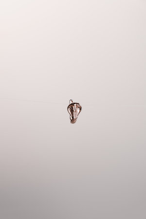 Stunning Gold and Diamond Jewelry for Womenの写真素材