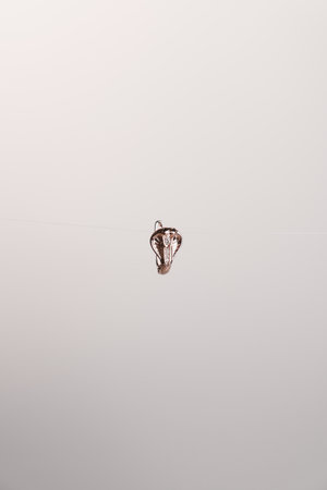 Sparkling Gold Jewelry with Stunning Diamondsの写真素材