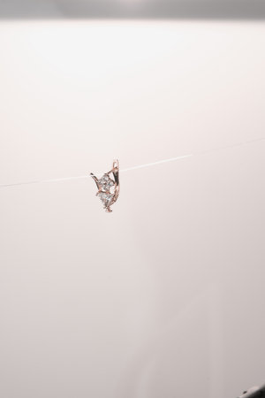 Classic Gold Jewelry with Brilliant Diamondsの写真素材