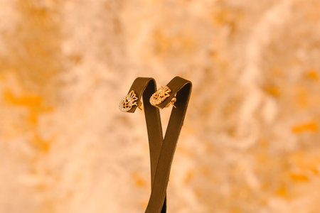 stylish jewelry like silver, gold, diamonds, precious stones.の写真素材