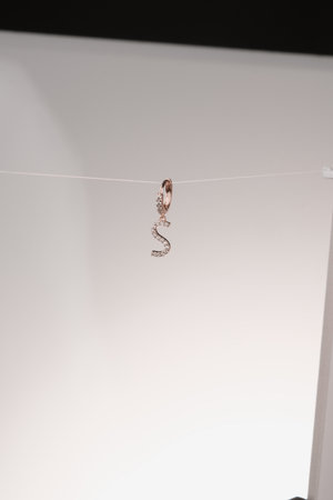 Sophisticated Gold and Diamond Jewelry for Womenの写真素材