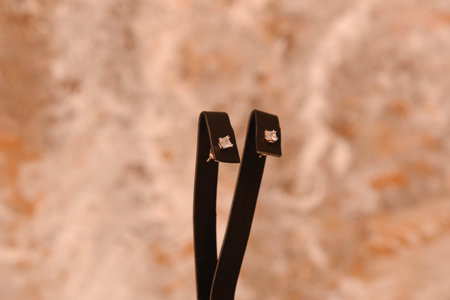 Glimmering Diamond and Gold Jewelry for Every Styleの写真素材