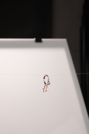 Exquisite Handmade Gold and Diamond Jewelryの写真素材