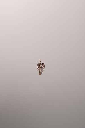 Precious Gold and Diamond Jewelry for Herの写真素材