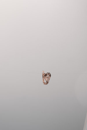 Elegant Diamond and Gold Jewelry for Womenの写真素材